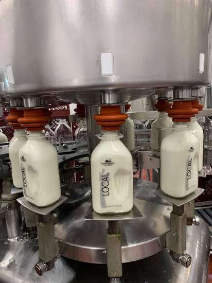 Bottling milk in glass jars