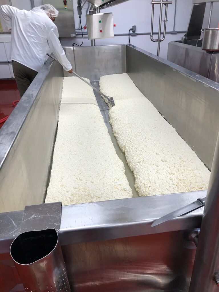 Cheese making curds