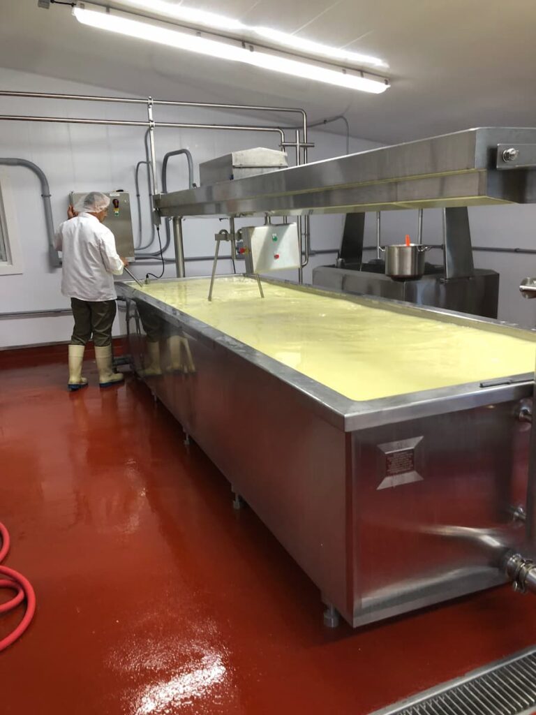Cheese making vat
